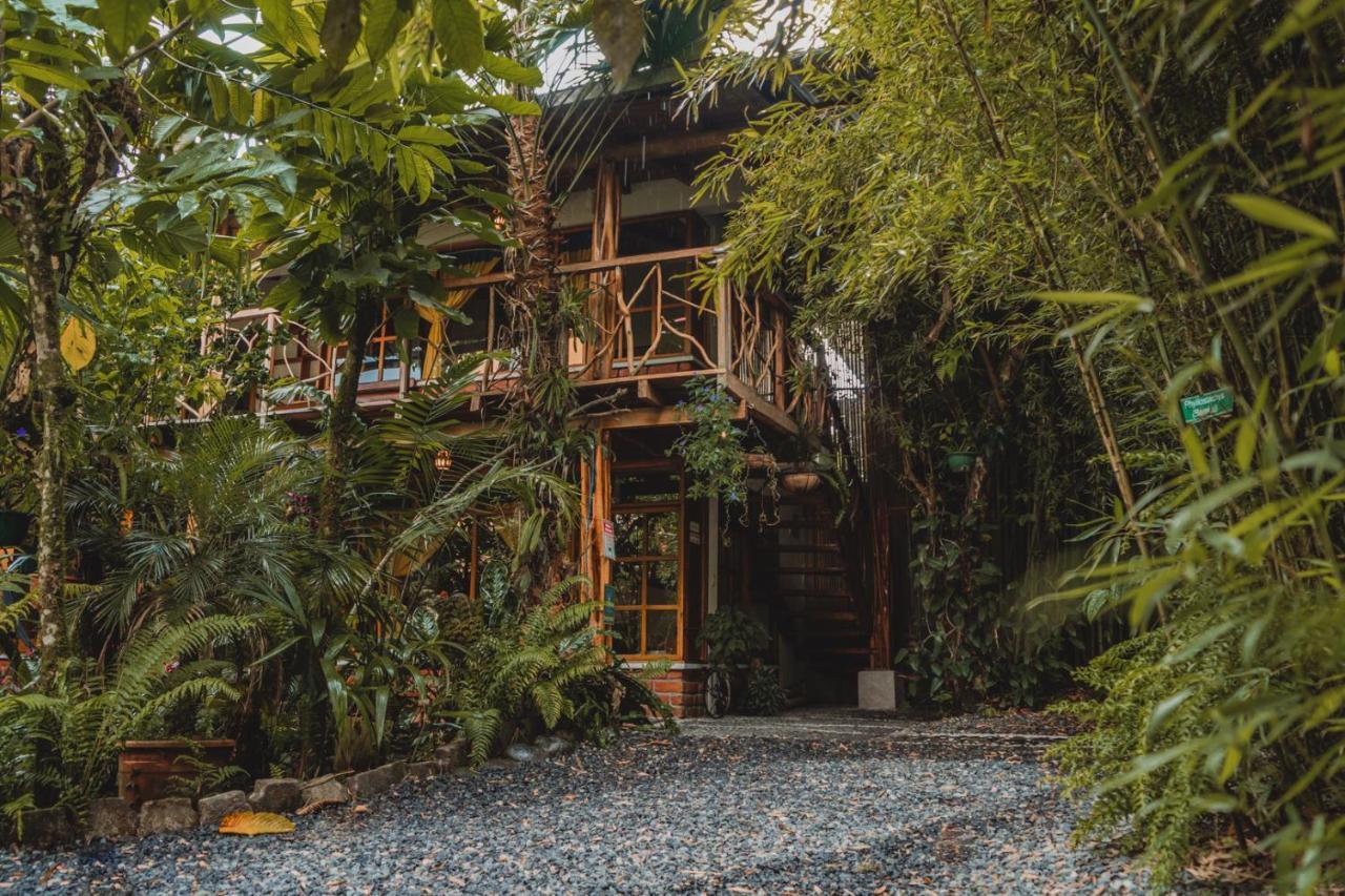 Hostal Las Palmas Puyo Extérieur photo