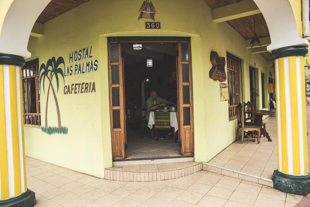 Hostal Las Palmas Puyo Extérieur photo